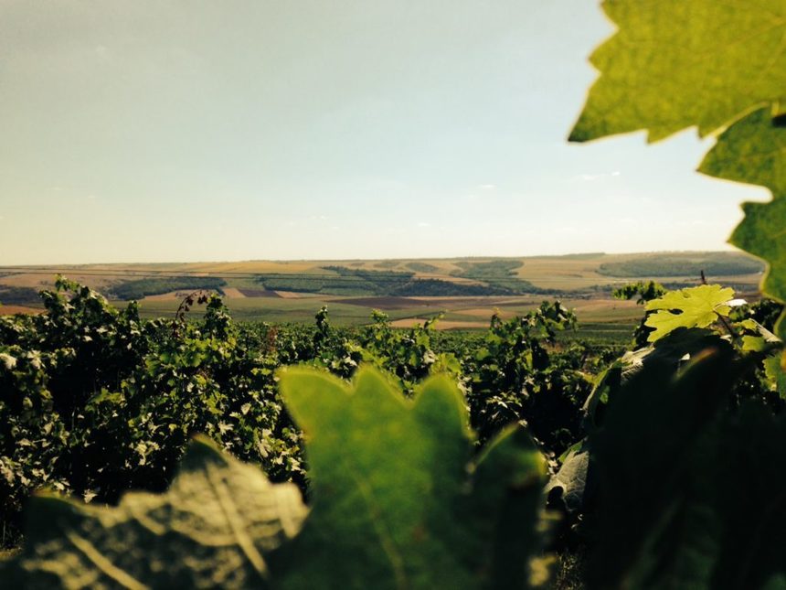 Comisia Europeană aprobă o nouă denumire de origine protejată pentru România, vinul „Adamclisi”, produs în Dobrogea