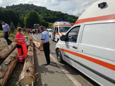 IGPR - Aproape 1.000 de persoane bănuite de infracţiuni în domeniul silvic au fost cercetate de poliţişti anul acesta; amenzi de peste 13.220.000 de lei