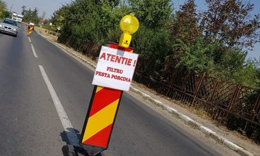 Două focare de pestă porcină africană în judeţul Hunedoara