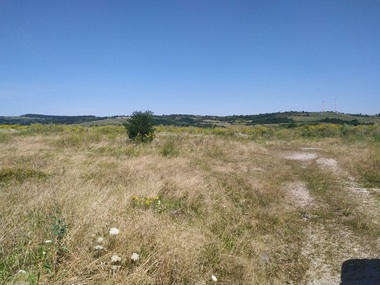 Făgăraşul închide o groapă de gunoi şi o transformă în spaţiu verde - FOTO

