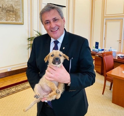 Alături de câinii Şuier şi MAx, Vela a prezentat proiectul de OUG care stabileşte atribuţii ale poliţiştilor privind protecţia animalelor/ Poliţiştii pot intra fără acord în spaţii unde au indicii că este un animal în pericol - VIDEO