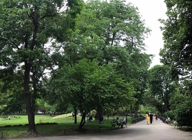 Noi măsuri de relaxare în judeţul Argeş: se redeschid terasele, se reiau activităţile sportive în aer liber, este permis accesul în parcuri