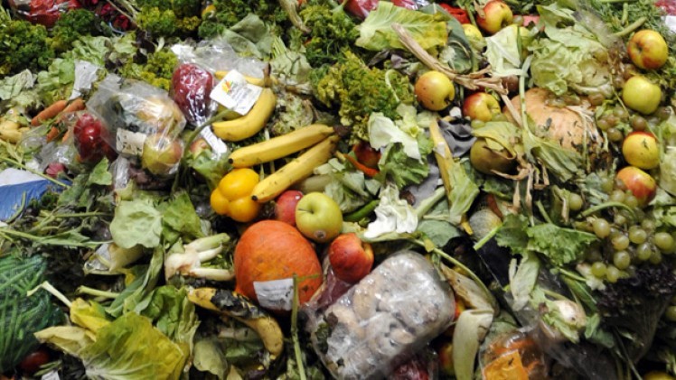 Peste 80% dintre români aruncă mâncare. Fructele, legumele şi pâinea, alimentele risipite în cea mai mare proporţie - Studiu