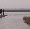 Lacul Nuntaşi din Rezervaţia Biosferei Delta Dunării are din nou apă - FOTO