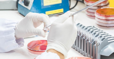 Guvernul a aprobat Memorandumul privind înfiinţarea Comitetului Naţional de coordonare a activităţilor privind vaccinarea împotriva SARS-CoV-2