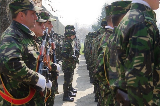 Guvernul a aprobat proiectul de lege pentru modificarea şi completarea Legii privind Statutul rezerviştilor voluntari prin care, la indemnizaţia de instalare. se vor adăuga gradaţiile şi solda de comandă