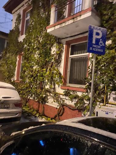 Carmen Uscatu (Asociaţia Dăruieşte Viaţă) reclamă proceuri abuzive la Poliţia Locală Sector 1 – Unei persoane cu dizabilităţi care îşi găseşte ocupat locul de parcare i se cere contractul şi este întrebată dacă marcajul de pe asfalt este vizibil - FOTO