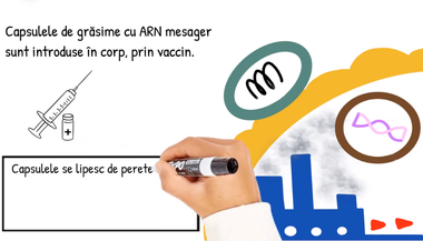 Videoclip realizat de un medic român din Suedia şi de fiica sa de 12 ani privind modul de funcţionare a vaccinului împotriva COVID-19, preluat de Ministerul Sănătăţii pe Facebook - VIDEO