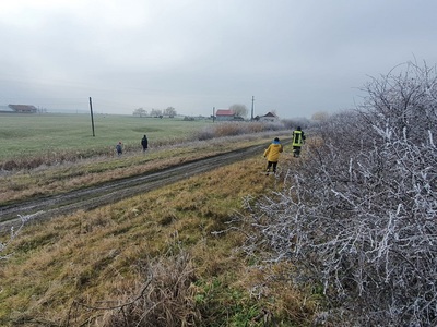 Continuă căutările copilului de 7 ani, din Arad, care a plecat la joacă şi nu s-a mai întors. Băiatul s-a dus spre o stână, împreună cu alţi copii, dar s-ar fi îndepărtat de grup - FOTO
