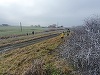 Continuă căutările copilului de 7 ani, din Arad, care a plecat la joacă şi nu s-a mai întors. Băiatul s-a dus spre o stână, împreună cu alţi copii, dar s-ar fi îndepărtat de grup - FOTO

