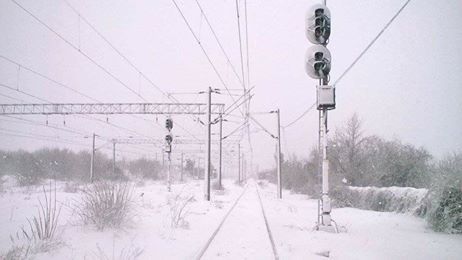 Circulaţia mai multor trenuri, suspendată miercuri şi joi, în urma avertizărilor meteo de ninsori şi vânt puternic în sud-estul ţării/ Pe secţia Bucureşti-Constanţa se va circula cu locomotive Diesel