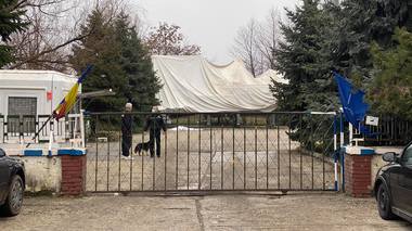 UPDATE Nicuşor Dan: După problemele dintre Romprest şi Primăria Sectorul 1, pentru a nu risca să rămână fără îngrijire câinii de la adăpostul Odăi, am cerut ca ASPA să asigure serviciul / Armand: La Primărie s-a propus acelaşi lucru