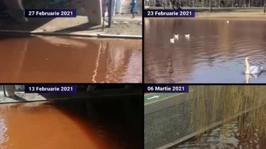 UPDATE - O fundaţie din Bucureşti reclamă deversarea de dejecţii în Lacul IOR / Garda de Mediu are un control în derulare/ Apele Române: Indicatorii de calitate a apelor fizico-chimici şi biologici se situează în jurul valorilor normale - FOTO, VIDEO
