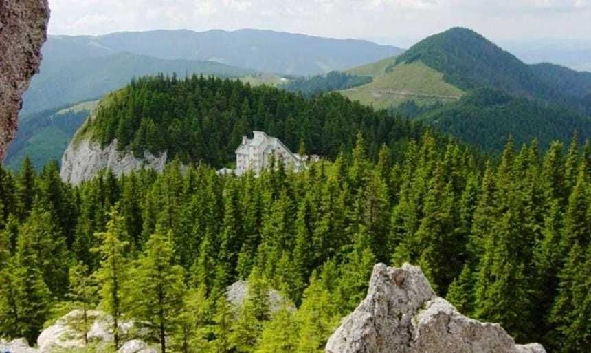 Secretar de stat în Ministerul Mediului: Suprafaţa terenurilor împădurite din România creşte de la an la an. În momentul de faţă, avem 7.037.607 hectare împădurite
