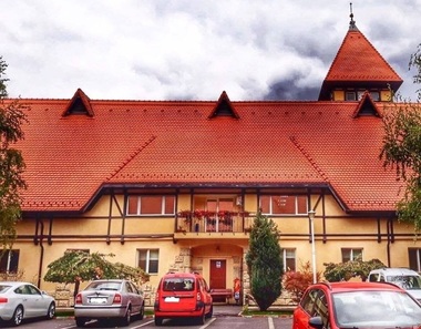Consiliul Local al Sectorului 1 cere acordul CGMB pentru ca primarul să preia în administrare fostul sediu al Administraţiei Unităţilor de Învăţământ Preuniversitar şi a face demersuri pentru înfiinţarea "Şcolii Regale"