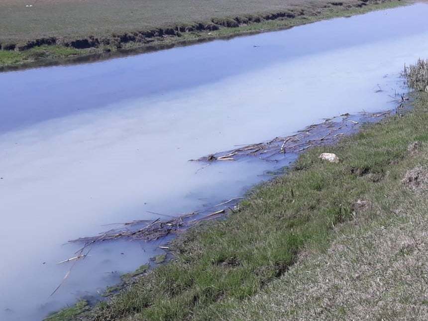 Buzău: Autorităţile au identificat sursa poluării pârâului Negreasca, o societate aflată în curs de reautorizare / În apă s-au găsit mai multe substanţe chimice, detergenţi şi compuşi de aluminiu / Firma, amendată cu 75.000 de lei şi va plăti intervenţia