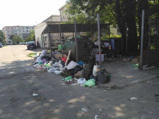 Primăria Ploieşti anunţă că a primarul a sesizat Poliţia cu privire la "acţiuni organizate de împrăştiere a gunoiului" în centrul oraşului