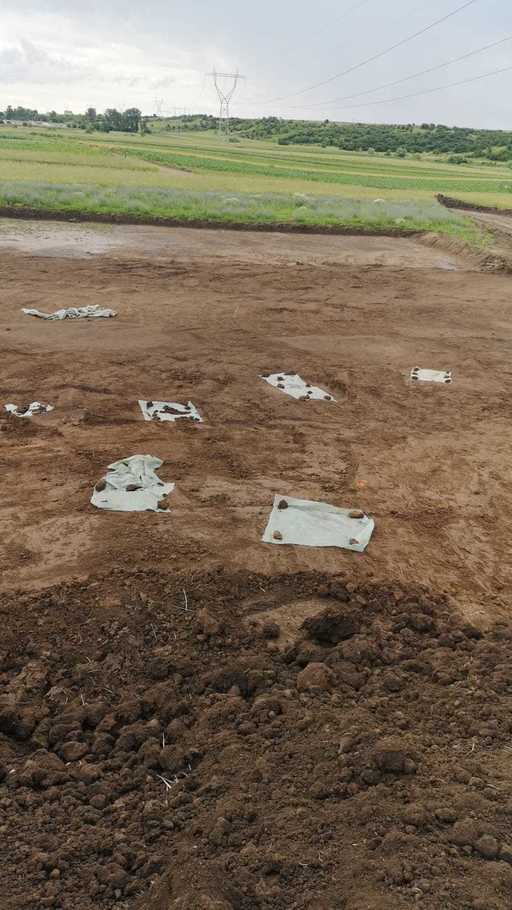 Gropi cu oseminte, descoperite pe şantierul drumului expres Craiova-Piteşti - FOTO, VIDEO
