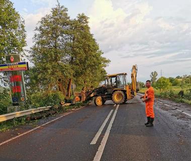 Copac prăbuşit pe un drum naţional şi acoperiş smuls de vânt în urma unei furtuni, în judeţul Hunedoara - FOTO