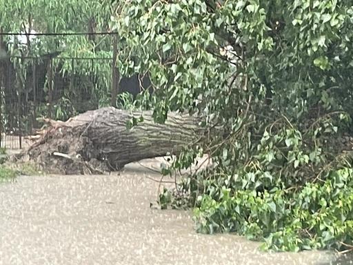 UPDATE - Toate străzile din Galaţi au fost inundate după o rupere de nori / A căzut grindină de mari dimensiuni / Oamenii reclamă că mesajul RO-Alert a intrat după ce a trecut pericolul / 200 de apeluri la 112 / 80 de litri pe metru pătrat - FOTO / VIDEO