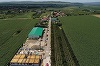 Un fost inginer metalurg cultivă mure, zmeură, cireşe şi vişine pe câteva hectare de teren lângă Buzău. Vrea să facă şi o fabrică de procesare a fructelor, dar şi un centru de cercetare. Ceea ce avem în curte este 100% sănătos, spune el  - FOTO