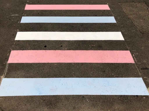 Persoană transgender, abuzată de lucrătorii vamali şi poliţia de frontieră pe aeroportul din Cluj-Napoca. MozaiQ: Nu s-au limitat la o făţişă umilire publică, ci au şi privat-o de libertate fără a oferi explicaţii