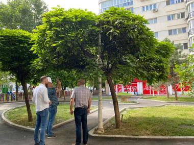 Primarul Sectorului 2: Azi am găsit un stâlp de iluminat în pom, pe lângă multe alte probleme în palma de spaţiu verde de la capătul lui 14

