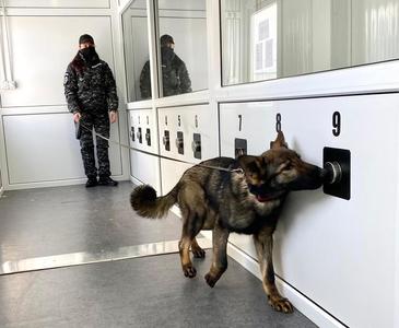 Lucian Bode anunţă că cei cinci câini antrenaţi să depisteze infecţia cu SARS-CoV-2 vor activa 60 de zile în Aeroportul Sibiu, în cadrul unui proiect pilot / Va fi adoptată o decizie a Comitetului Naţional pentru Situaţii de Urgenţă în acest sens