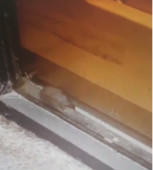 Galaţi: Covrigărie închisă de inspectorii OPC, după ce au apărut imagini cu un şoarece care se plimba prin magazin / Un alt şoarece, găsit de inspectori într-o capcană, sub o vitrină frigorifică - VIDEO


