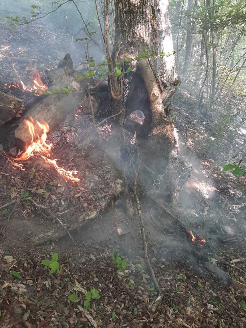 Mehedinţi: Nu mai sunt focare aprinse în zona incendiului din Parcul Naţional Porţile de Fier
