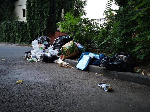 Primarul Sectorului 2: Avem 273 de "puncte fierbinţi" în Sectorul 2. Zone în care suntem nevoiţi să strângem gunoiul de 4-5 ori pe zi. Locuri în care mojicia şi nesimţirea transformă oraşul în groapă de gunoi - FOTO