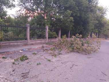 Brăila: Pompierii încă intervin pentru a îndepărta copacii căzuţi în urma vijeliei puternice de miercuri seară - FOTO