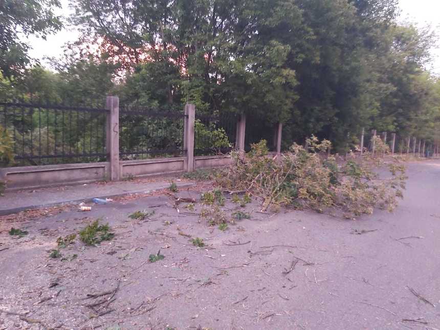 Brăila: Pompierii încă intervin pentru a îndepărta copacii căzuţi în urma vijeliei puternice de miercuri seară - FOTO