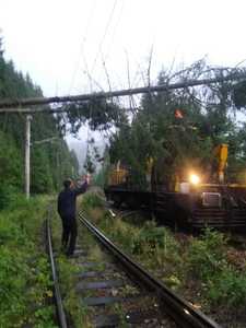 Trenuri întârziate, după ce furtunile au doborât mai mulţi arbori pe liniile de cale ferată - FOTO