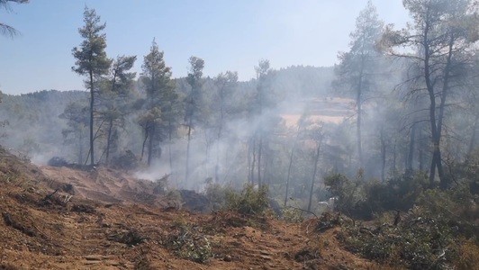 Pompierii români vor interveni duminică în prima misiune la incendiile din Grecia, în zona Spathari - VIDEO
