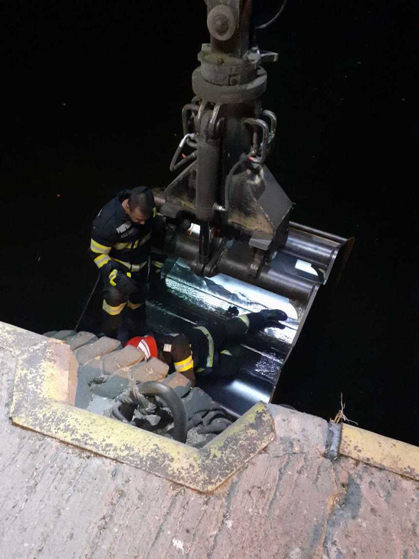 Pompierii au salvat un câine căzut în mare, în Portul Constanţa - FOTO, VIDEO
