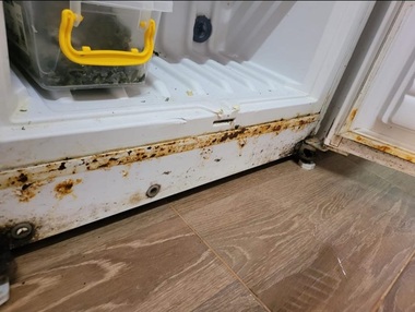 Mizerie, produse expirate de ani de zile, peşte fără elemente de identificare, descoperite în urma controalelor ANPC în Delta Dunării şi pe litoral - FOTO, VIDEO