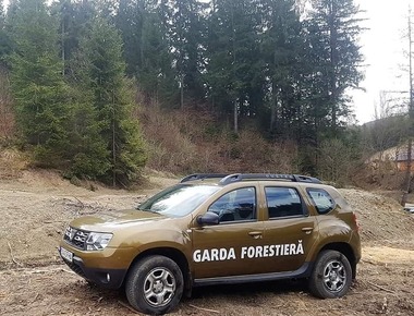 Garda Forestieră Suceava a descoperit fapte ilegale pe raza ocolului silvic Dealu Negru din judeţul Suceava, la sesizarea unui jurnalist / Ministrul Mediului cere celor care au astfel de informaţii să le raporteze autorităţilor, să nu se expună  

 