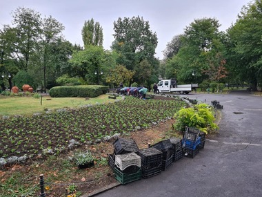 Nicuşor Dan: Curăţenia în Parcul Cişmigiu continuă cu acţiuni de înfrumuseţare şi renovare. Se plantează flori produse în serele proprii ale ALPAB şi se face punctual înlocuirea pavajului deteriorat