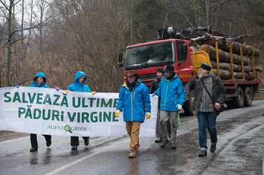 Judecătorii din Râmnicu Vâlcea obligă procurorii să reia ancheta într-un dosar care vizează firma unui cetăţean german care ar exploata ilegal păduri virgine în Munţii Făgăraş / Plângerea a fost făcută de Agent Green care reclamă inclusiv falsuri 