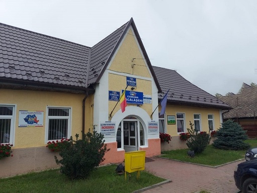 Îndemnuri insolite din partea unui primar pe pagina de Facebook a localităţii pe care o conduce: Durerea de gât dispare după o gargară cu apă sărată, mierea de albine şi celelalte produse apicole sunt cel mai bun antibiotic