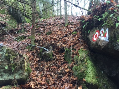 Cluj: Trasee montane omologate în zona Mărişel / Panouri informative noi la Lacul Tarniţa - FOTO