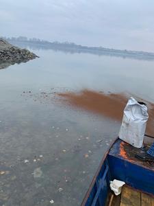 UPDATE - Apele Române: Poluare de 10 km pe Dunăre, în dreptul localităţii Gruia / Poluarea a fost observată de autorităţile sârbe / Atenţionare specială pentru compania de apă din Calafat / Poluarea a fost stopată 