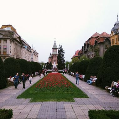 Primăria Timişoara anunţă primul buget participativ. Zece proiecte selectate vor primi trei milioane de lei