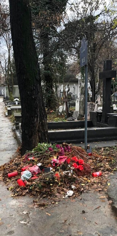 Actriţa Oana Pellea, după o vizită la Cimitirul Bellu: Niciodată nu am văzut asemenea dezastru. Arată ca un loc părăsit! Ce ruşine! - FOTO
