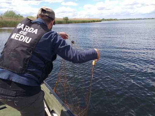 Garda de Mediu: Plasele ilegale confiscate de comisari în Delta Dunării pot înconjura 37 de terenuri de fotbal