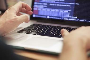 Meserii precum destrămător, inspector telegrame, pregătitor gogoşi de mătase, preparator ulei de copite, eliminate din nomenclatorul ocupaţiilor, fiind înlocuite de auditor de securitate cibernetică şi barista