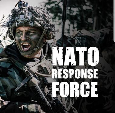 MApN: Forţa de Răspuns a NATO, activată pentru prima dată