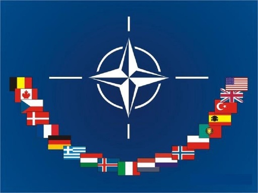 Ministrul Apărării, despre sosirea de trupe în România: În zilele următoare nu vor veni militari, în sensul de trupe organizate / Vom avea un batalion francez, aproape 1.000 de oameni 
