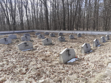 Persoane necunoscute au inscripţionat cu vopsea literele Z şi V pe mormintele soldaţilor ruşi dintr-un cimitir din judeţul Iaşi